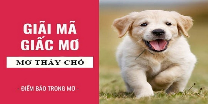 Ý nghĩa chi tiết của giấc mơ thấy chó trong tâm linh