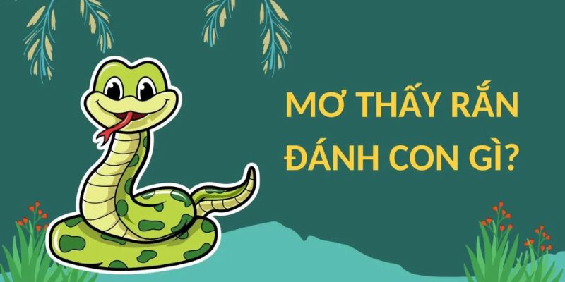 Mơ thấy rắn đánh con gì may mắn trúng lớn