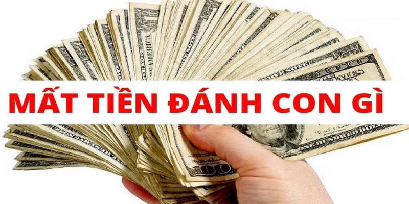 Mơ thấy bị mất tiền nên đánh số nào để nắm bắt vận may?