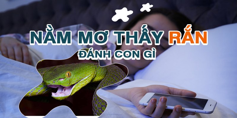 Mơ Thấy Rắn Đánh Con Gì May Mắn, Đổi Đời Nhanh Chóng