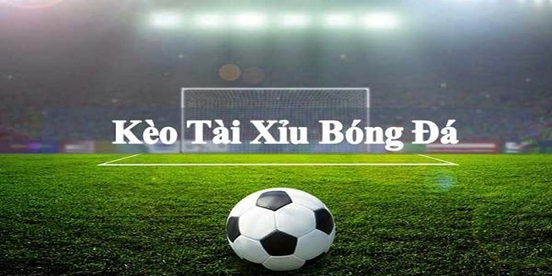 Sử dụng các chiến lược cược đa dạng, linh hoạt