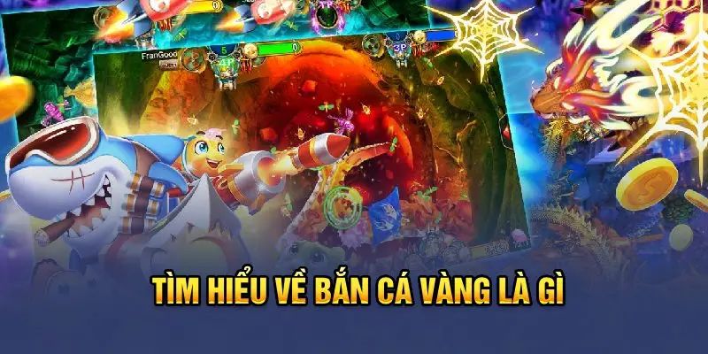Giới thiệu vài nét cơ bản về bắn cá vàng bet thủ cần nắm