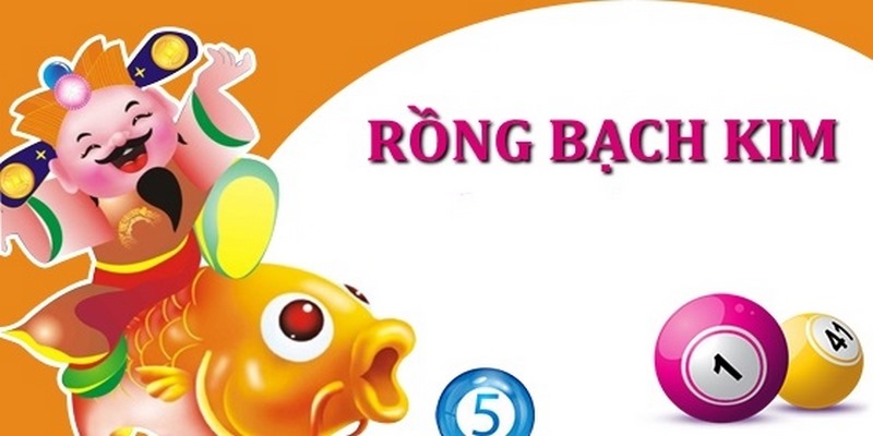 Kinh nghiệm soi cầu rồng bạch kim miễn phí giúp anh em dễ dàng trúng lớn