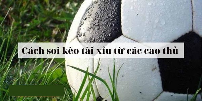 Kèo Tài Xỉu Là Gì? Kinh Nghiệm Vàng Giúp Thắng Lớn Khi Tham Gia