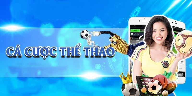 Vài nét về mục tiêu, tầm nhìn của thể thao K8cc