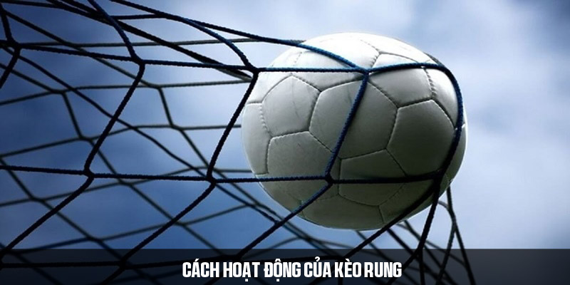 Chiến thuật chốt kèo rung thắng lớn