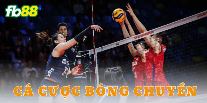 Mẹo để cá cược bóng chuyền hiệu quả