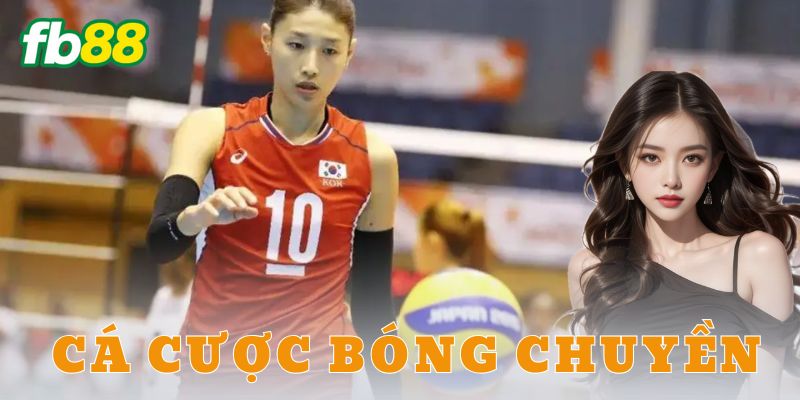 Ví dụ cụ thể về cá cược bóng chuyền