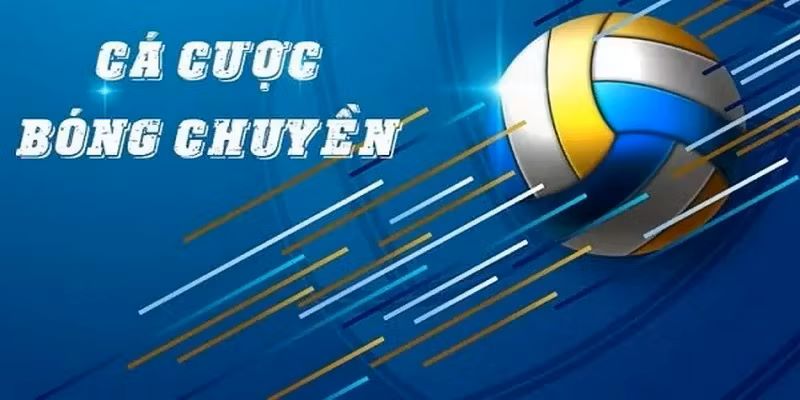 Giới thiệu chung về cá cược bóng chuyền