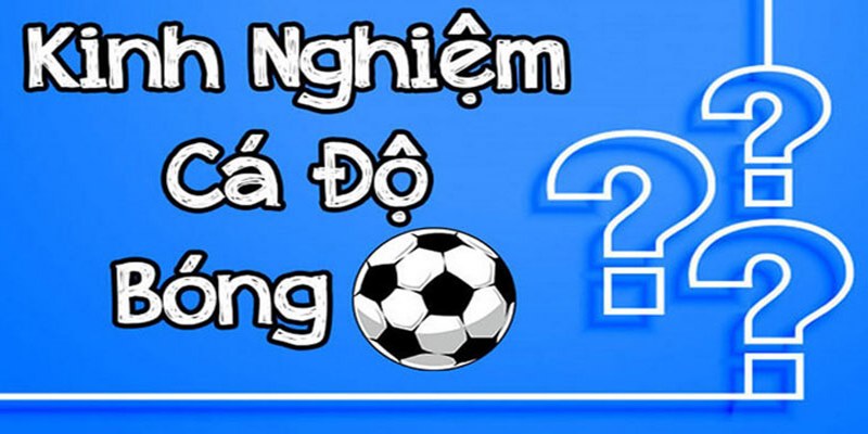 Kinh nghiệm cược bóng đá chọn đúng kèo dễ