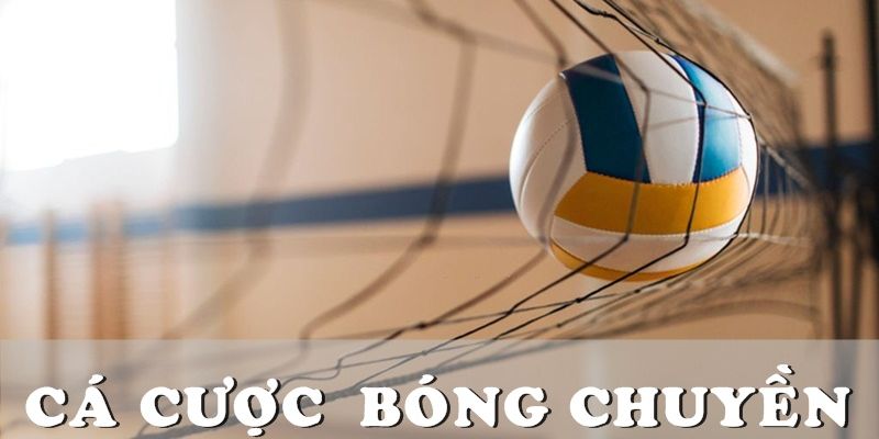 Tổng Hợp Các Tỷ Lệ Kèo Bóng Chuyền Thường Gặp Nhất