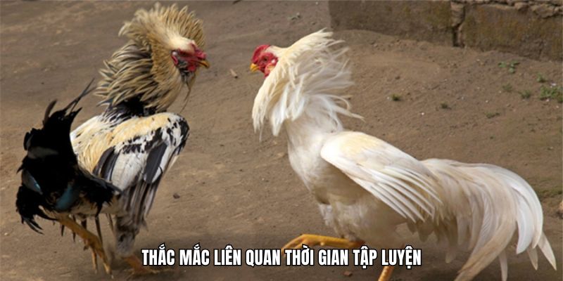 Thắc mắc liên quan thời gian tập luyện