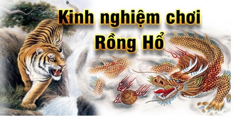 Top 4 mẹo chơi Rồng Hổ cực hay để chinh phục phần thưởng