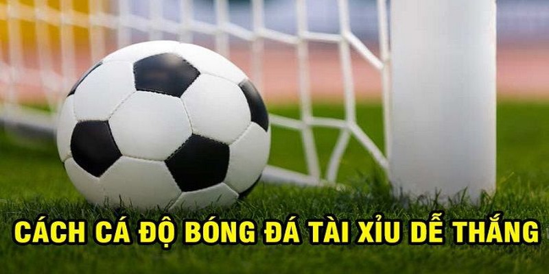 Những điểm đặc sắc thú vị khi tham gia kèo tài xỉu hôm nay