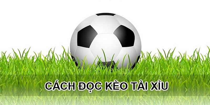 Lưu ý không nên bỏ lỡ khi tham gia kèo tài xỉu