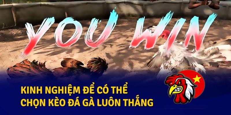 Xem đá gà cựa dao Philippines