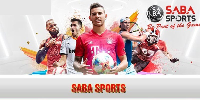 Những bộ môn thể thao siêu hot được người chơi săn đón nhất SABA Sports