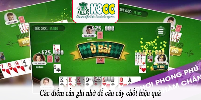 Các điểm cần ghi nhớ để câu cây chốt hiệu quả